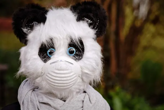 Kasino Hot Line Podpora